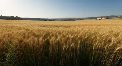 It's Harvest Time: Reaping the Seeds You've Faithfully Sown